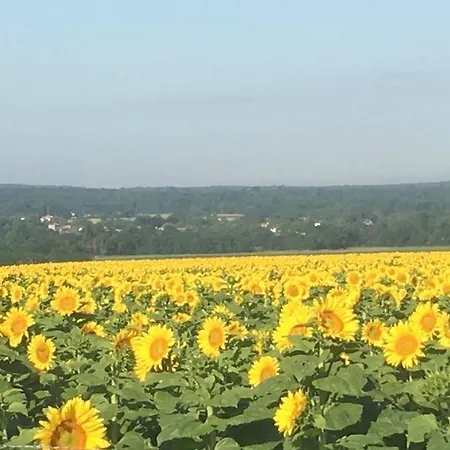 Chateau Des Fouilloux Bed and breakfast Agris