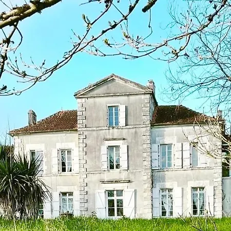 Chateau Des Fouilloux Bed and breakfast *