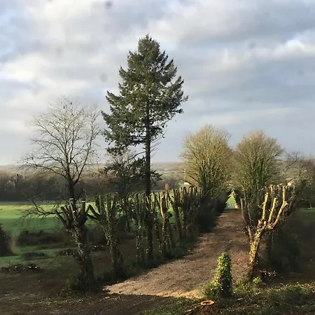 Chateau Des Fouilloux * Agris