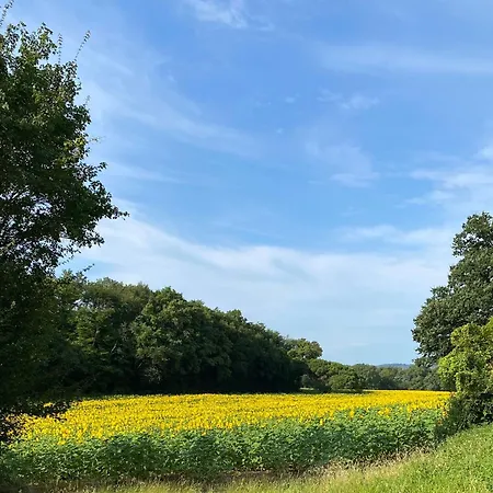 Chateau Des Fouilloux Bed & Breakfast Agris